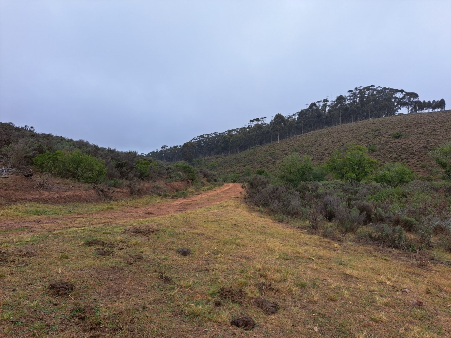 17 Bedroom Property for Sale in Riversdale Rural Western Cape